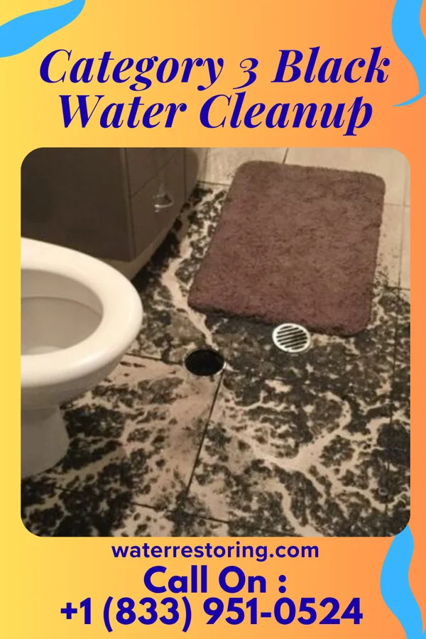 Category 3 Black Water Cleanup in Rice Tracts, TX