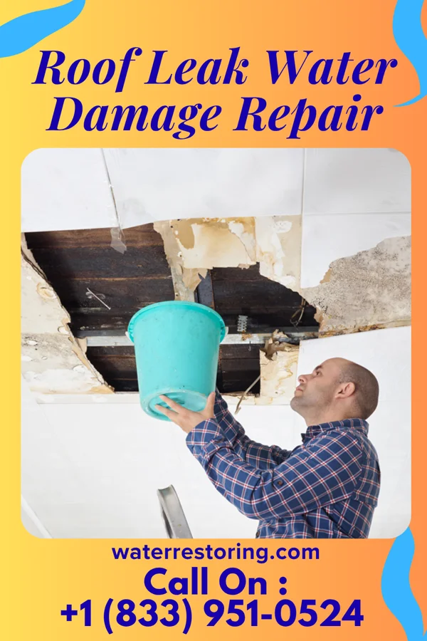 Roof Leak Water Damage Repair in Rice Tracts, TX