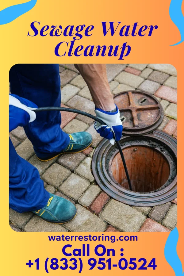 Sewage Water Cleanup in Rice Tracts, TX